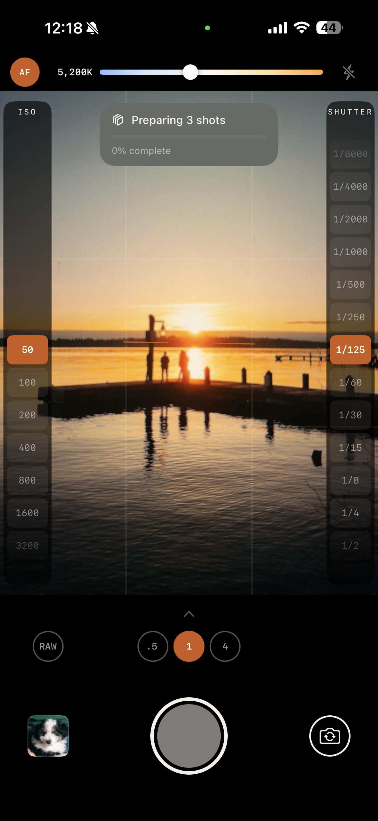 Calotype manual controls, ISO and shutter strips